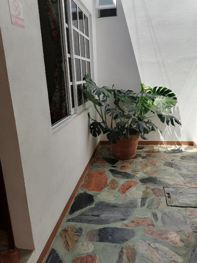 Casa Lomas Del Marinero Internet Starlink Sin Garaje Apartment Пуерто Ескондидо Екстериор снимка